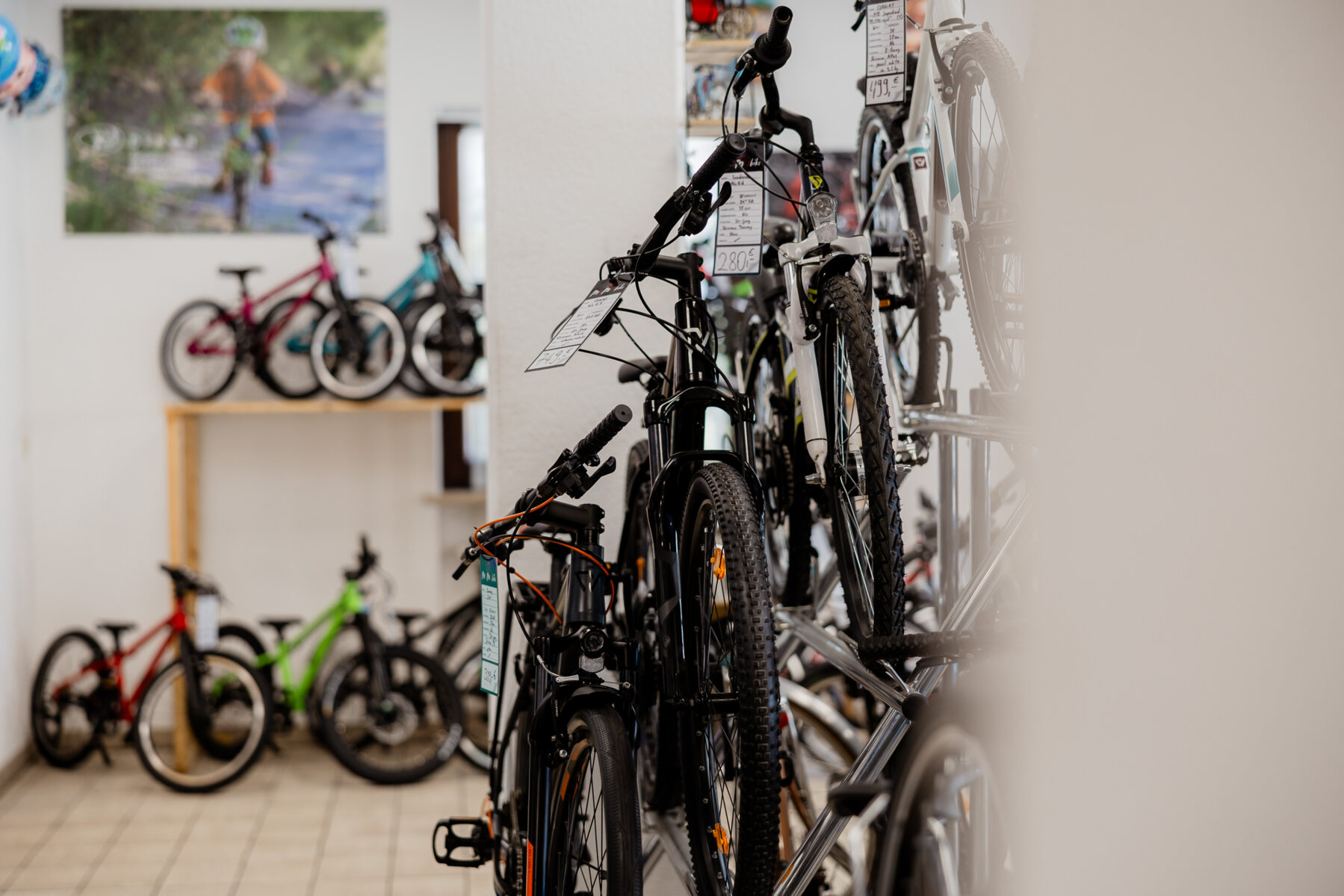 Fahrräder von Momo Bike